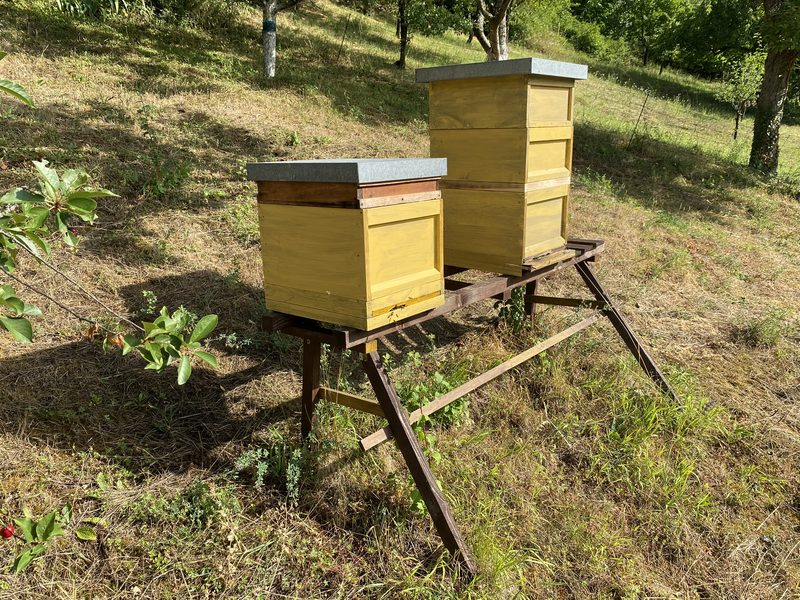 Bienenstöcke der Imkerei Adelmann im Retztal